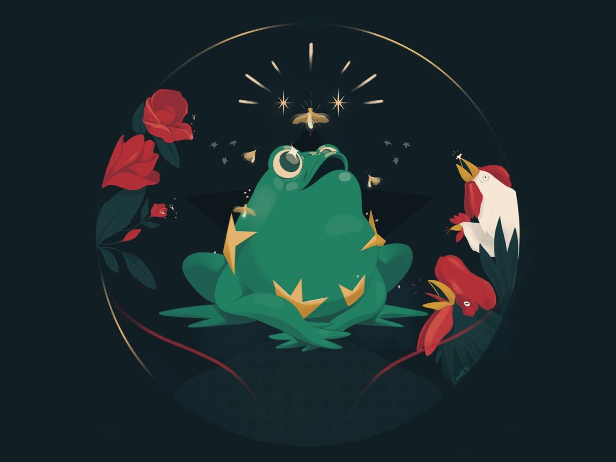 El sapo que quería ser una&nbsp;estrella